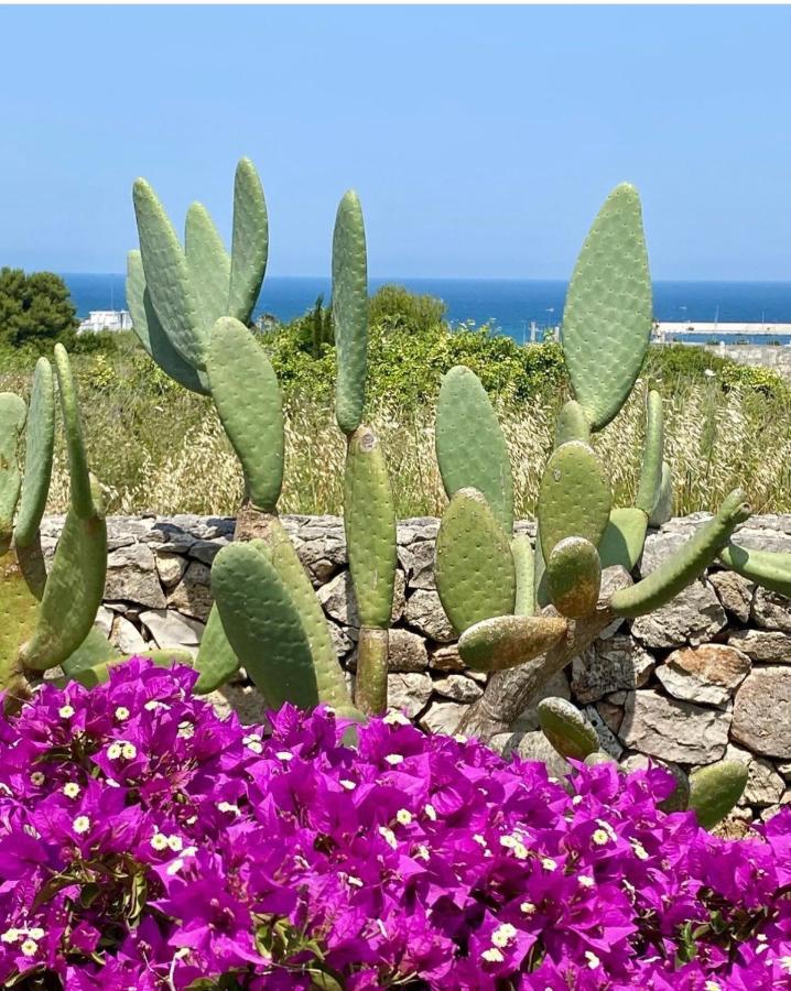 Corallo Appartement Otranto Buitenkant foto